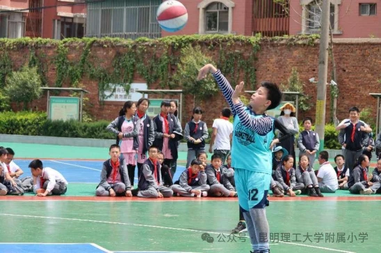 篮球运动训练方法有什么作用_2